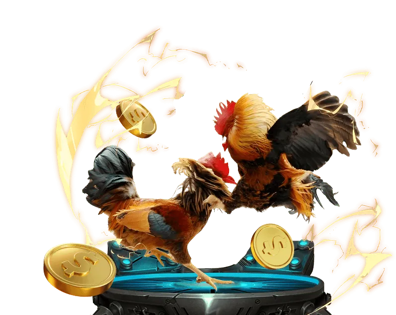 Tổng quan về đá gà trực tuyến tại AF88